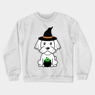 Cute white dog is a witch Crewneck Sweatshirt